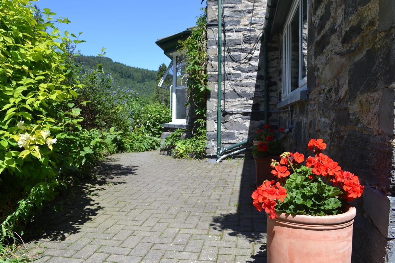 Bed and Breakfast Coed-Y-Fron Бетс-и-Койд Экстерьер фото